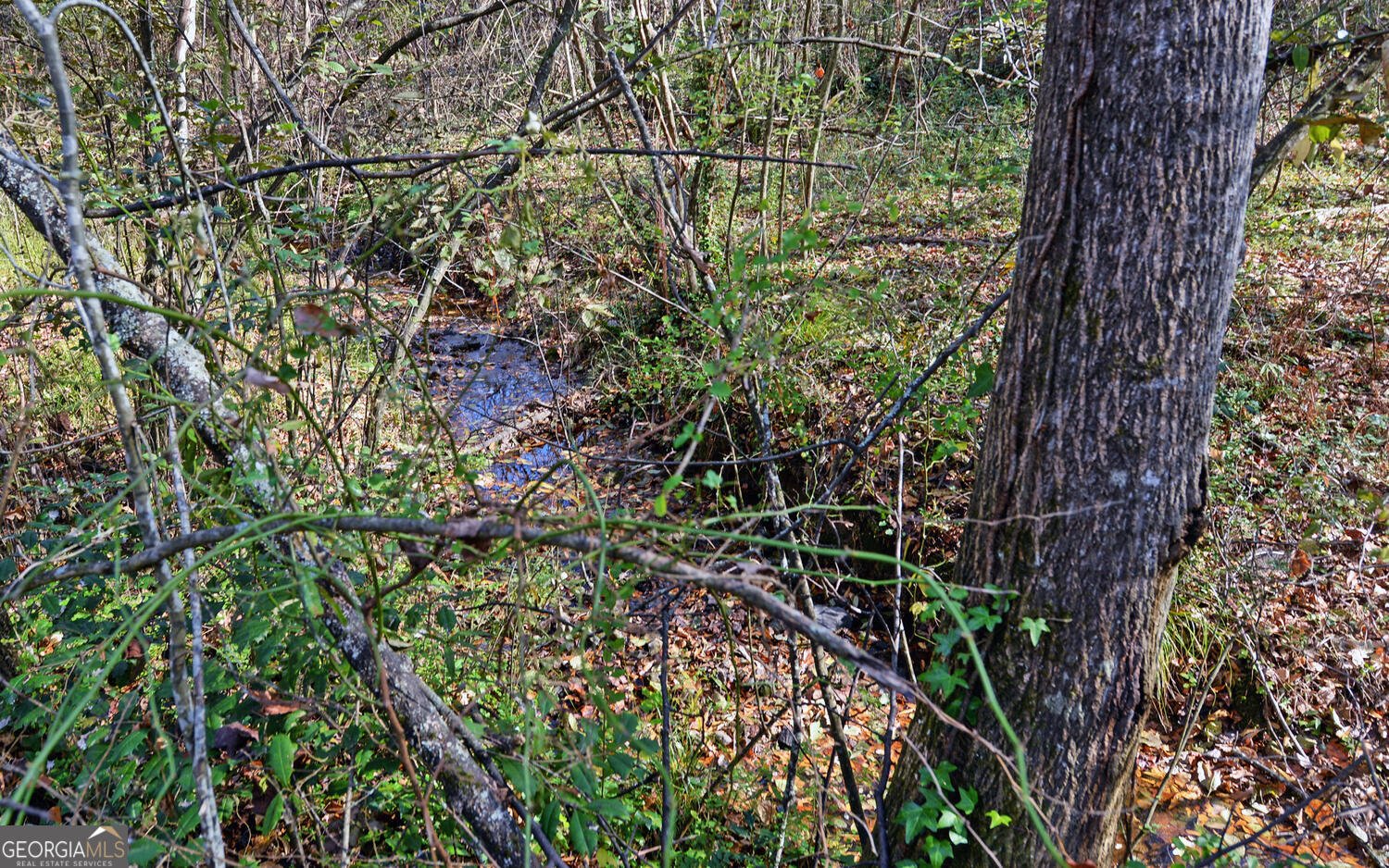 1241 Currahee Street Toccoa - 39