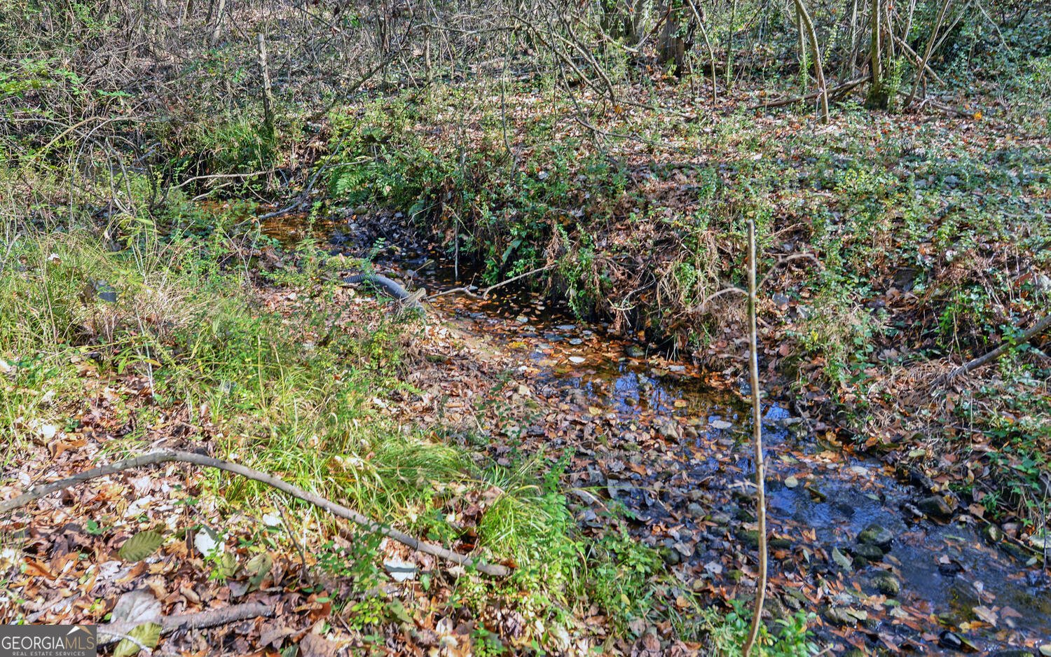 1241 Currahee Street Toccoa - 40