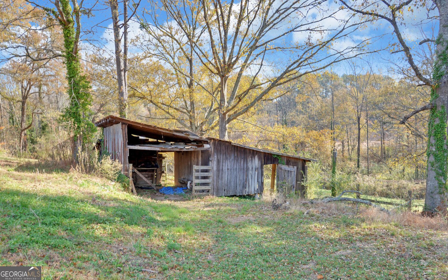1241 Currahee Street Toccoa - 45