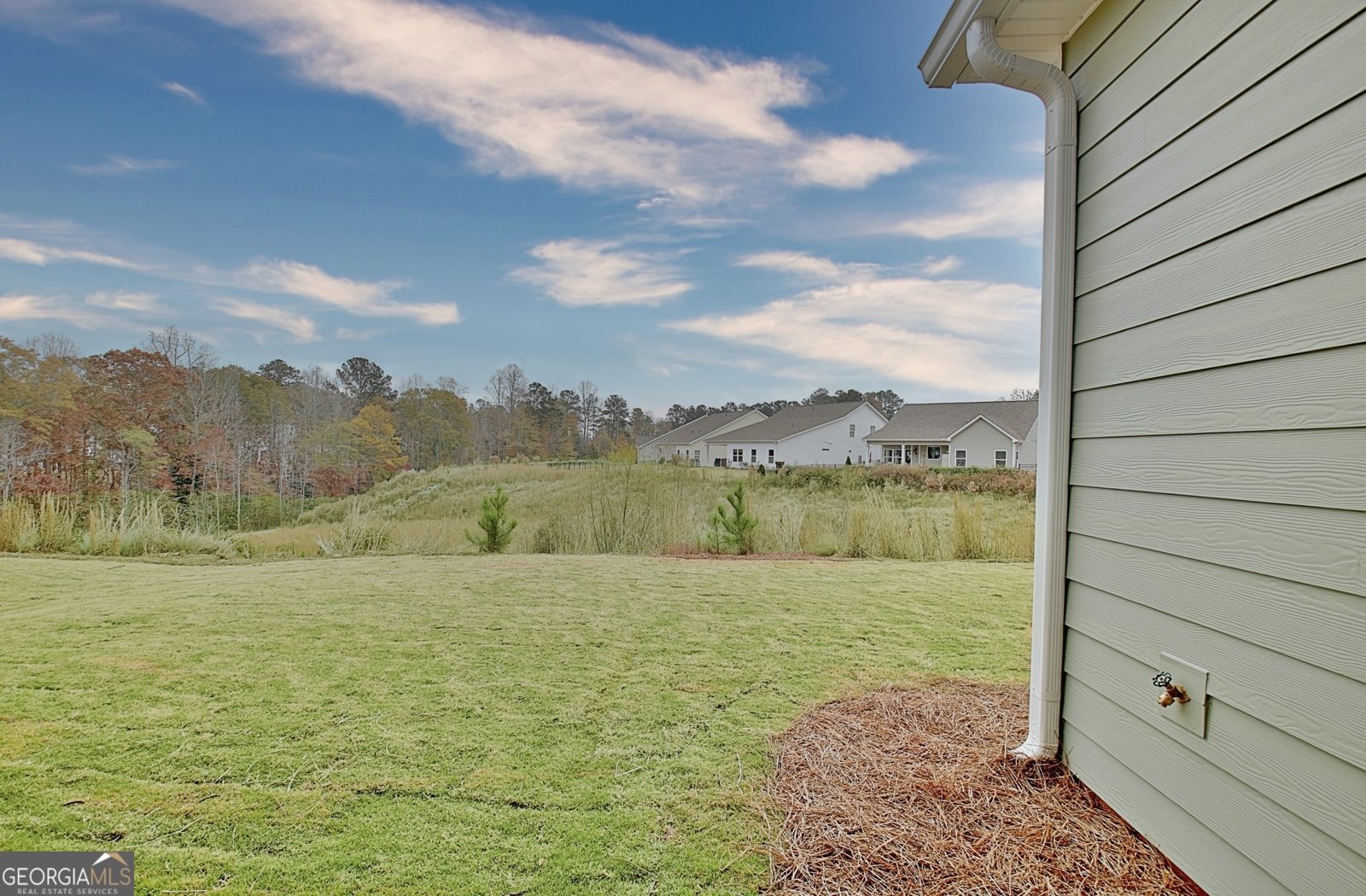 140 Redhaven Drive Senoia - 35