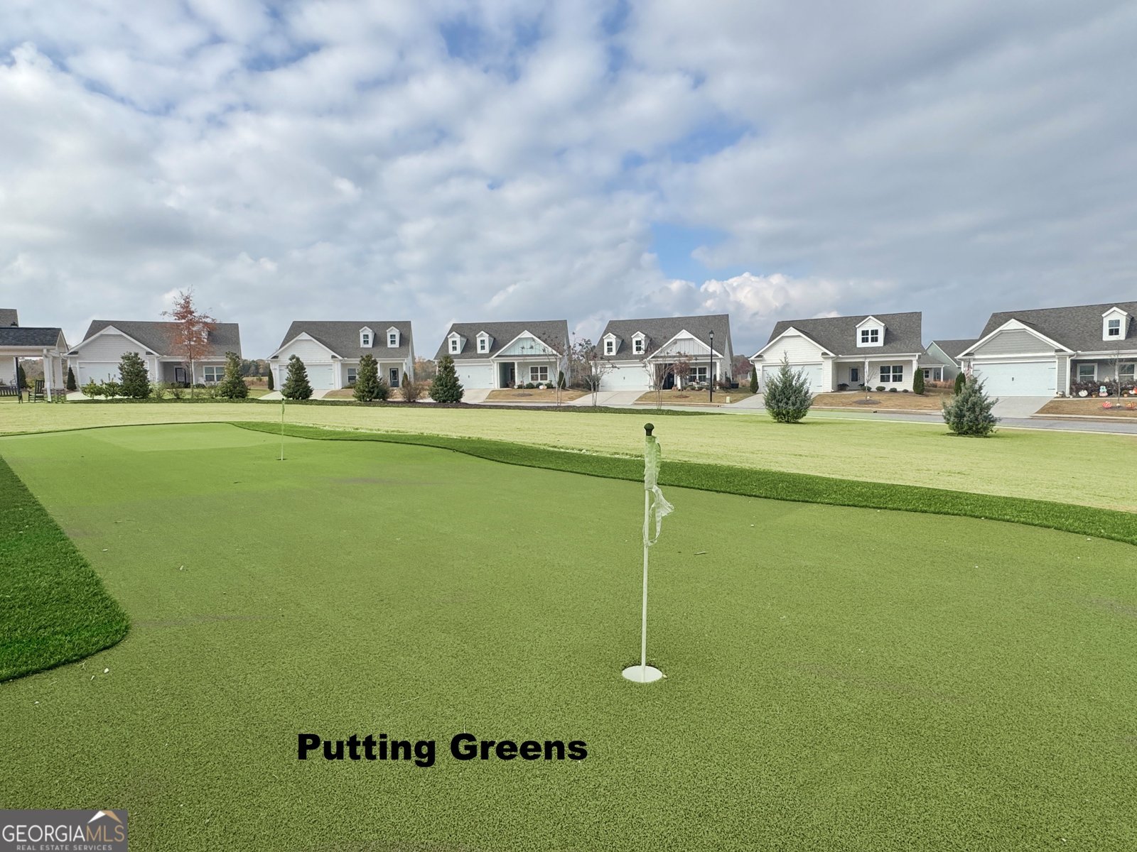 140 Redhaven Drive Senoia - 41