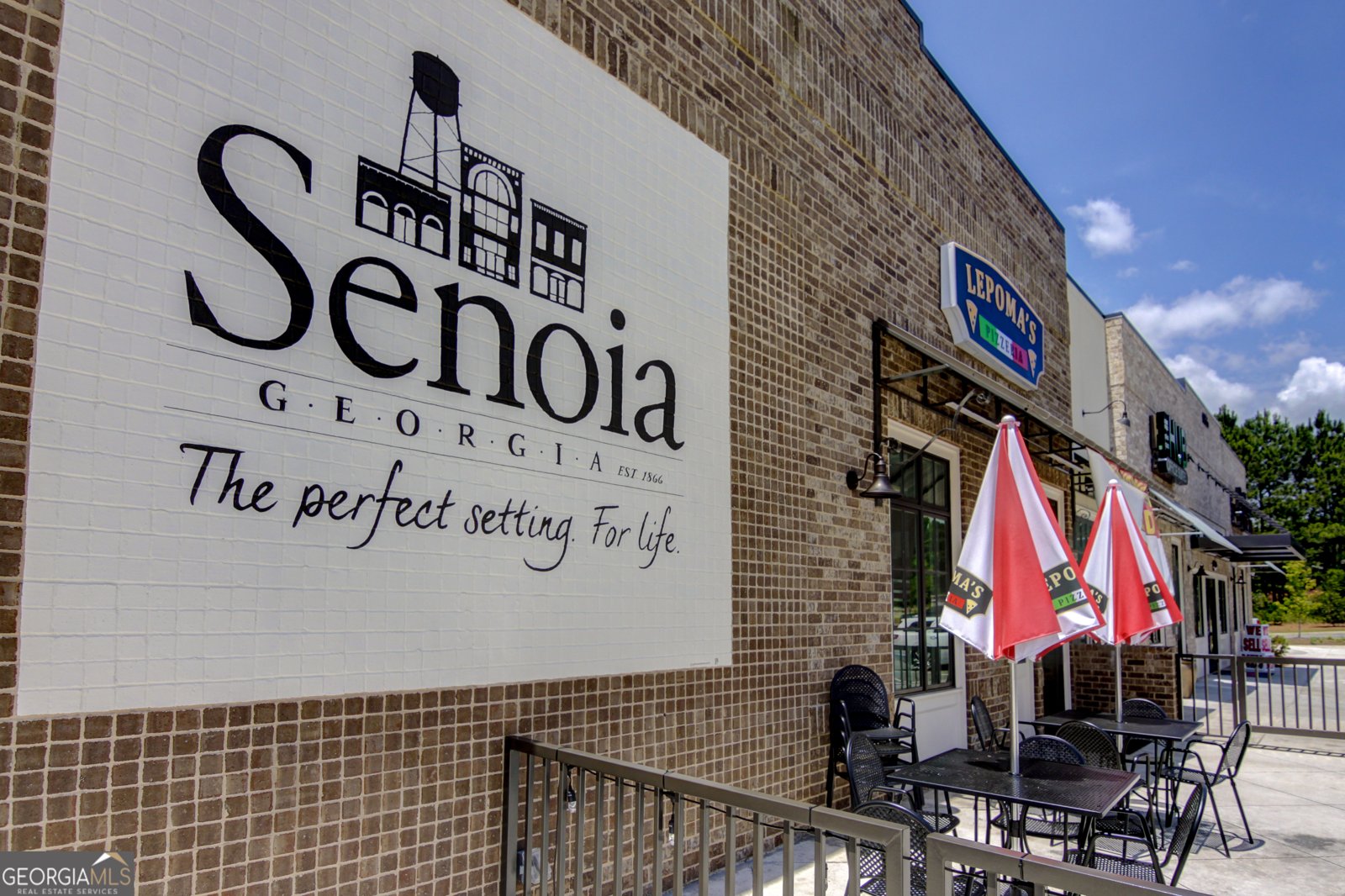 140 Redhaven Drive Senoia - 46