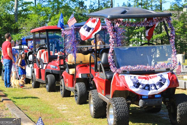 150 Redhaven Drive Senoia - 45