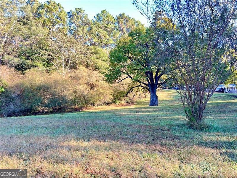 1175 Bartow Street Waleska - 17