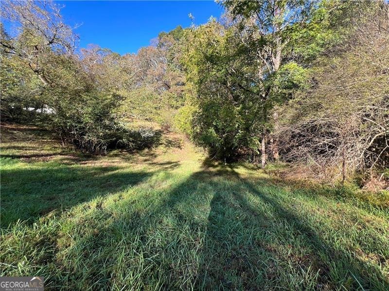 1175 Bartow Street Waleska - 20