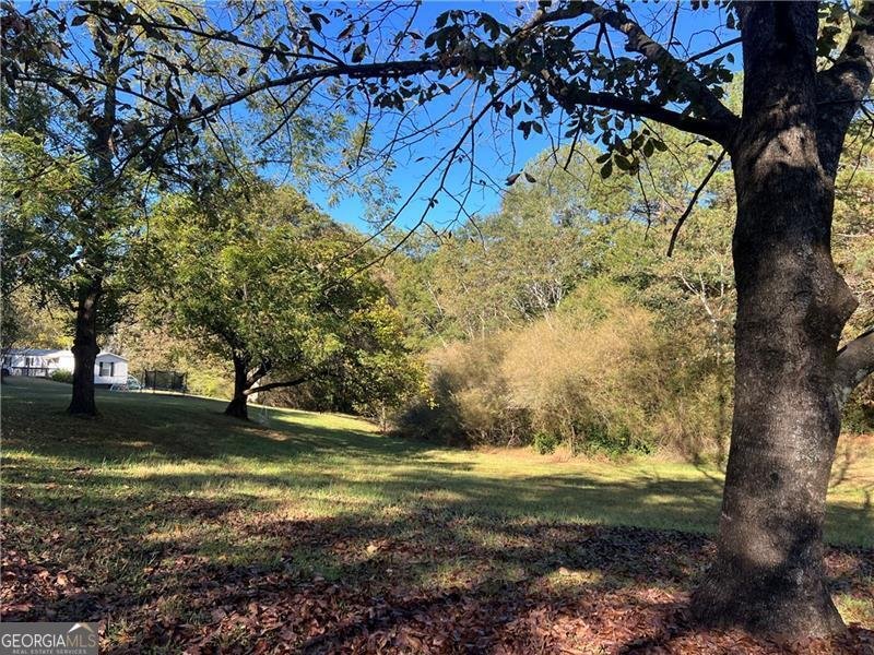 1175 Bartow Street Waleska - 24