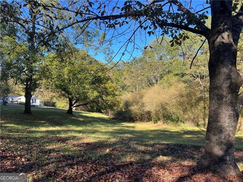 1175 Bartow Street Waleska - 25