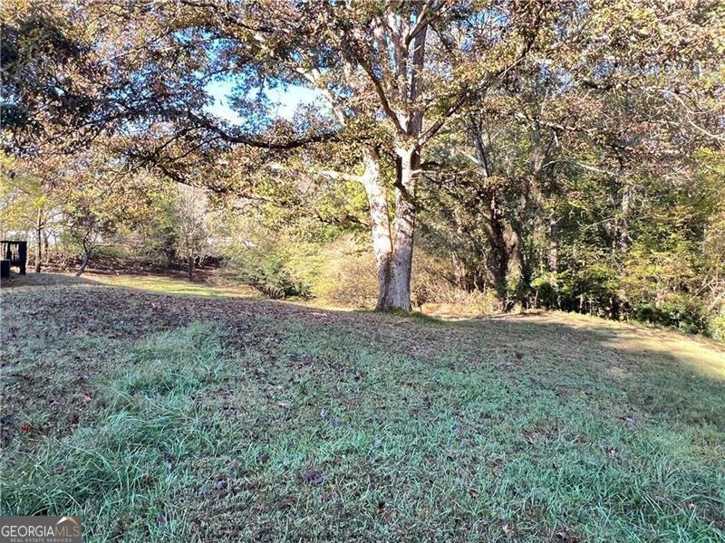 1175 Bartow Street Waleska - 5