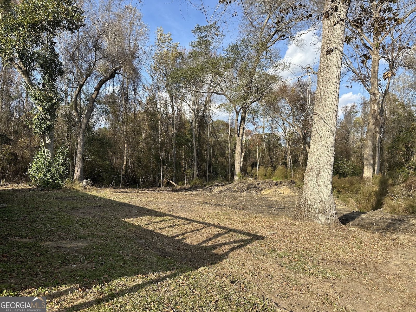 781 Jordan Brown Road Eastman - 17