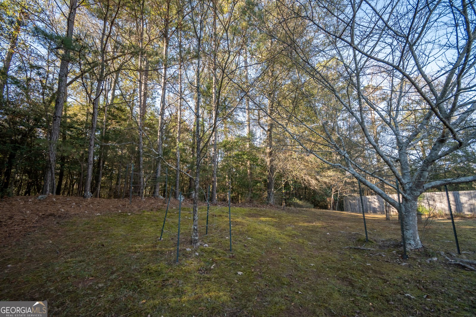 347 Hampton Park Drive Athens - 59