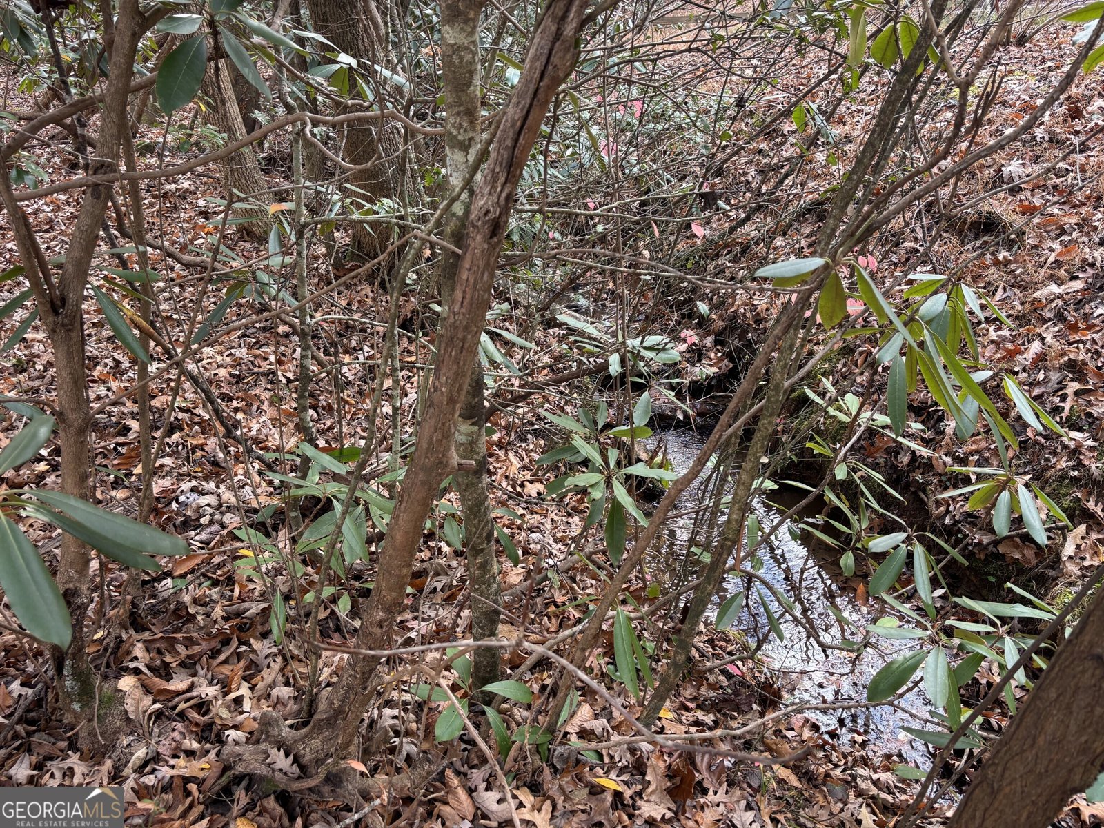 366 Gander Gap Road Hiawassee - 2