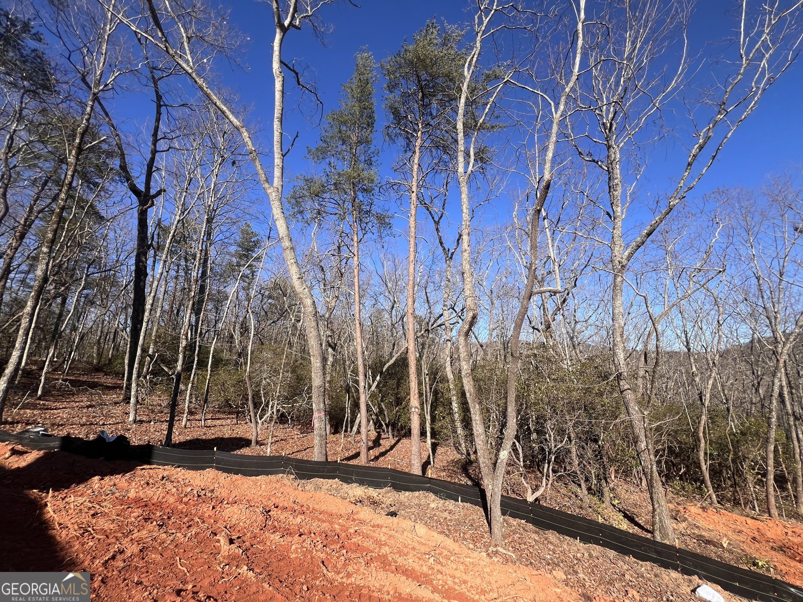 194 Pinecrest Road Clarkesville - Photo 6