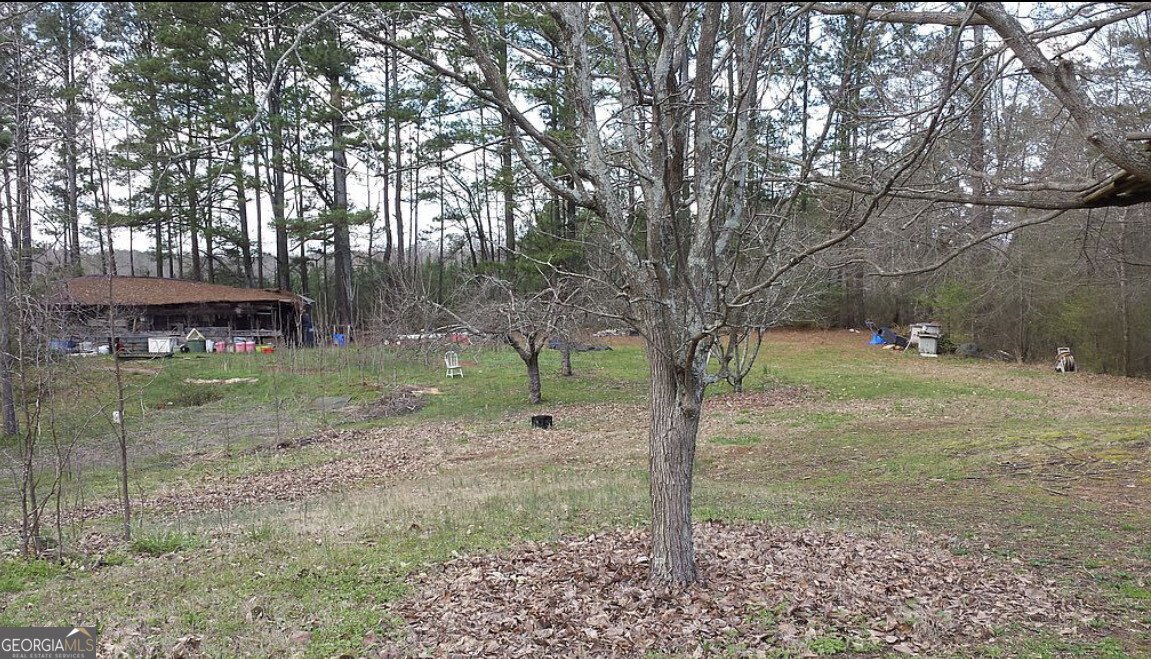 5330 Sycamore Road Sugar Hill - 3