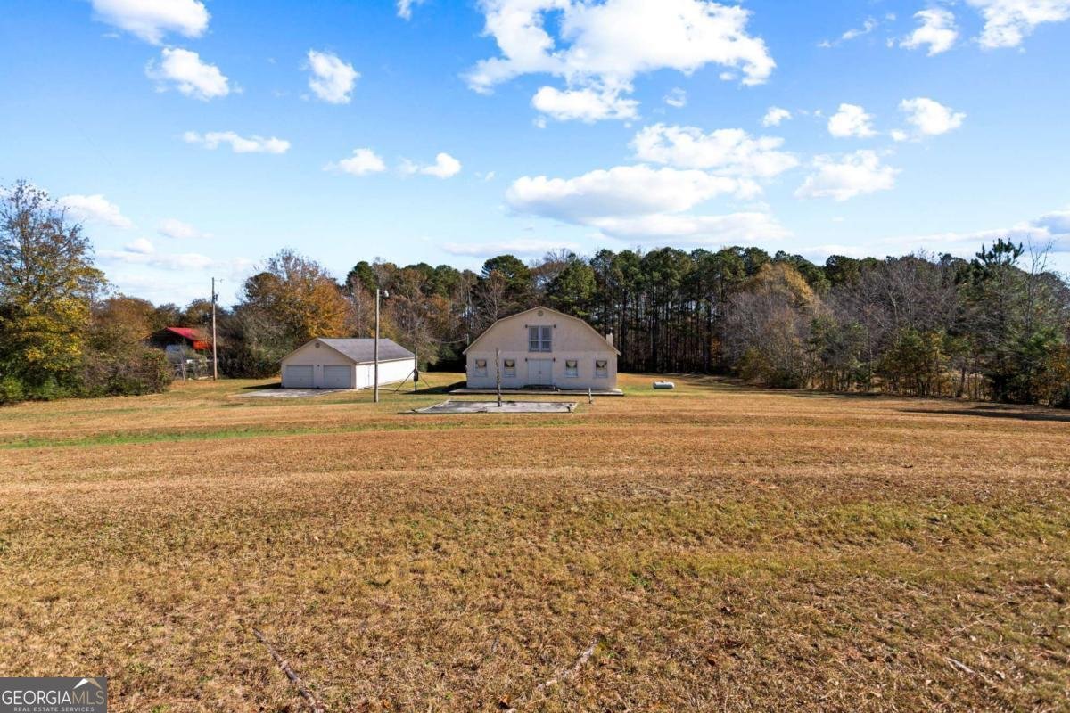 2202 Bowdon Tyus Road Bowdon - 3