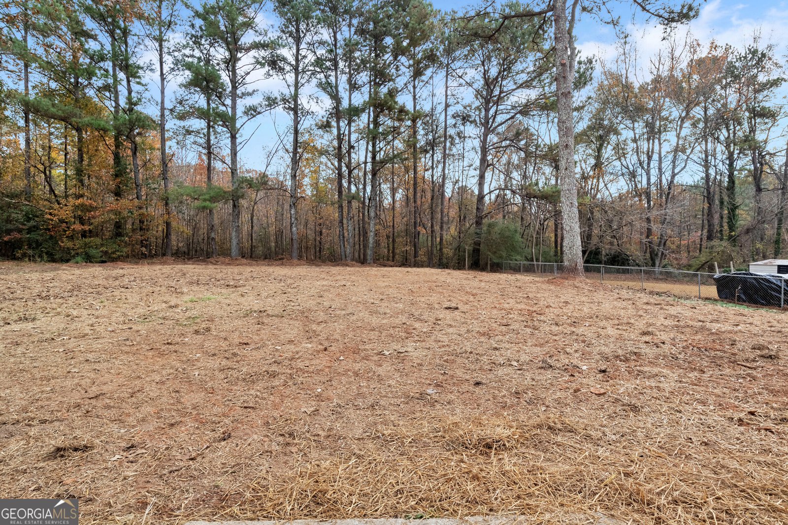 9056 Chestnut Lake Drive Jonesboro - 30