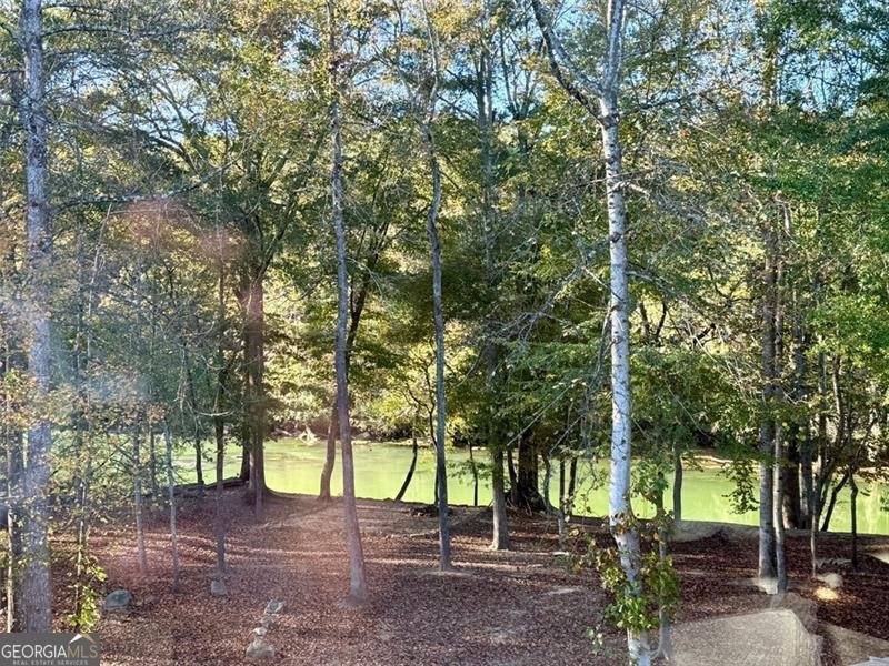 335 Marshy Pointe Johns Creek - 39