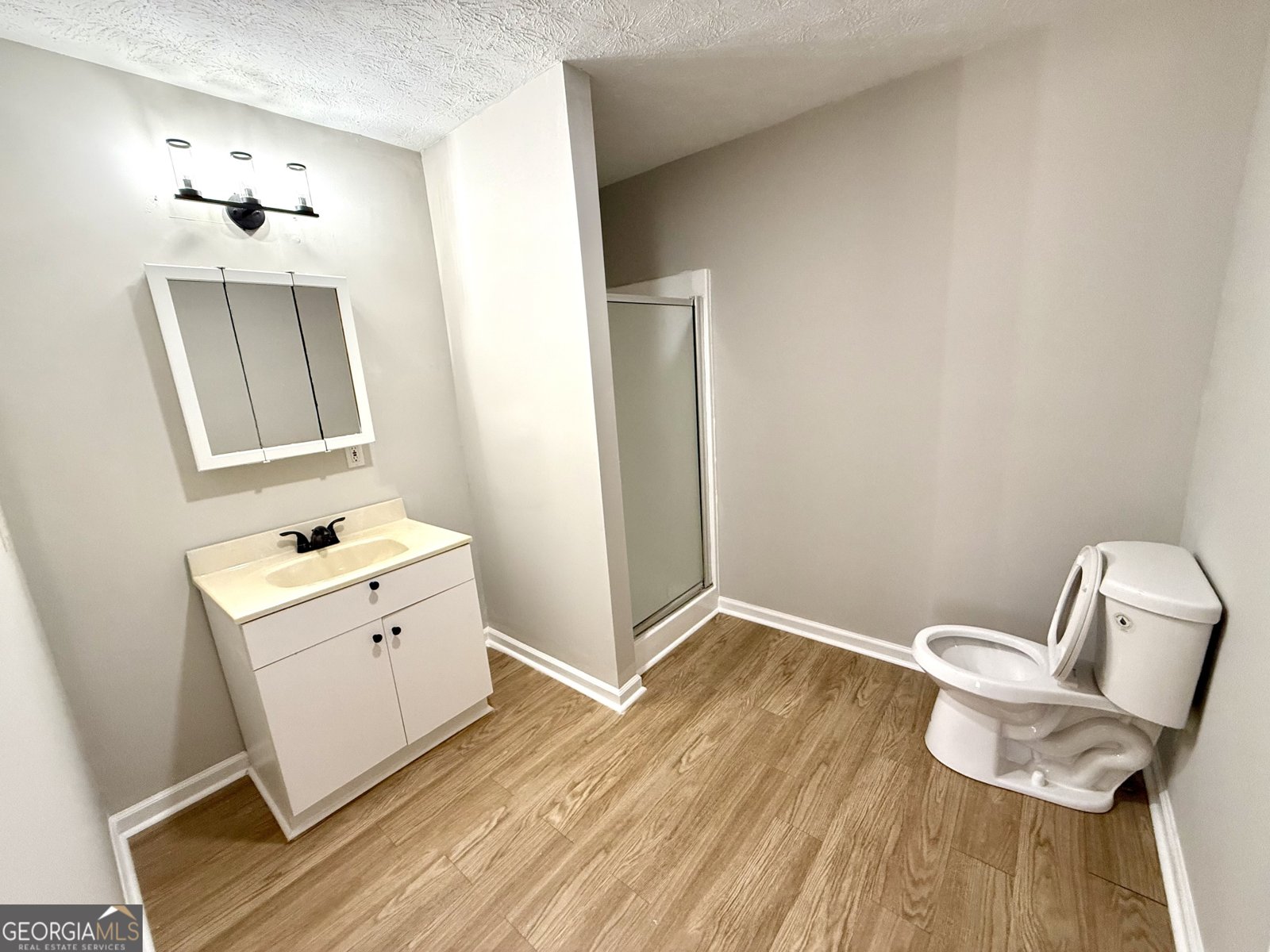 54 Hebron Church Road Dacula - 28