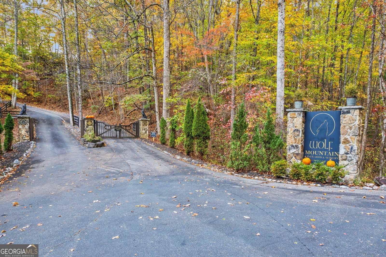 745 Captain Mcdonald Road Dahlonega - 64