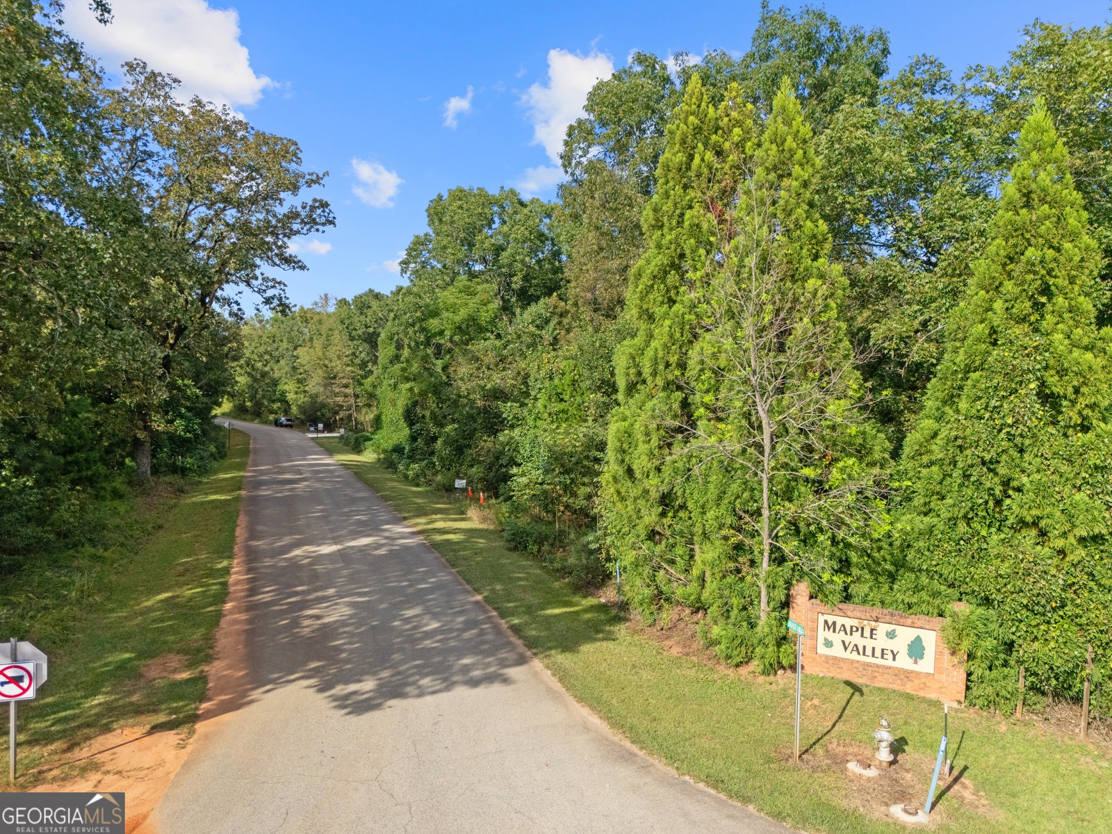 106 Maple Valley Drive Jenkinsburg - 28