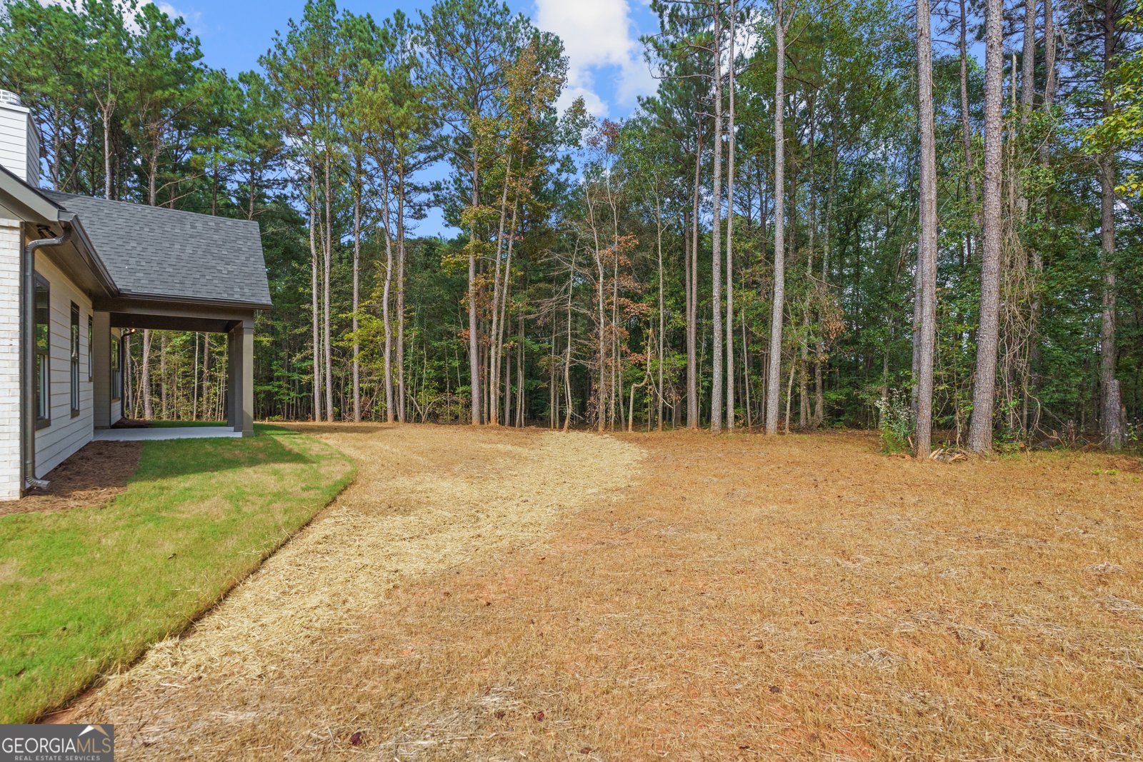 106 Maple Valley Drive Jenkinsburg - 49