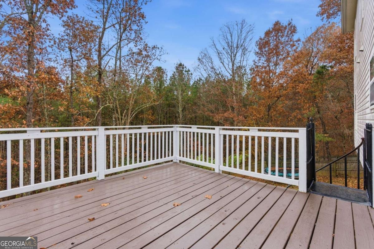 125 Nelson Oaks Drive Ball Ground - 17