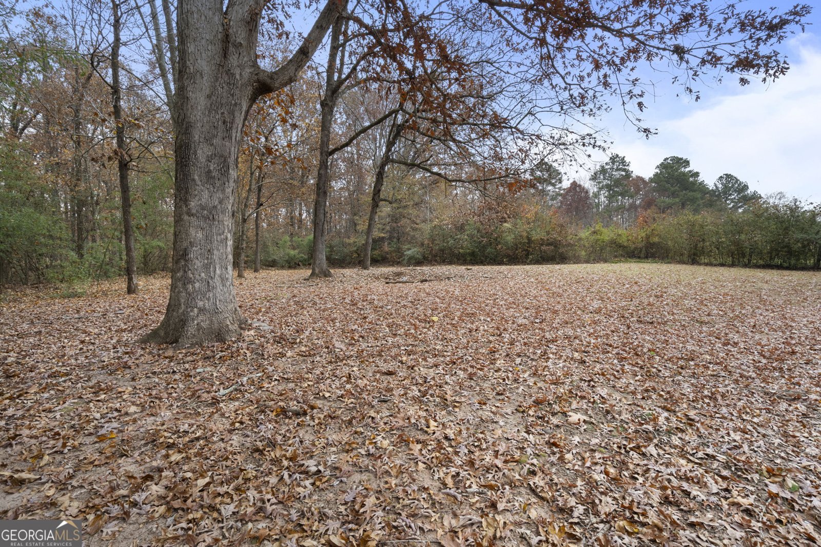 3142 Chamblee Gap Road Cumming - 13