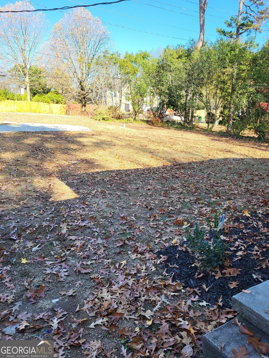 1507 Snapfinger Road Decatur - 3