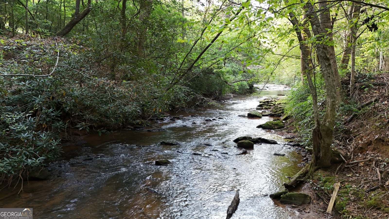 922 Amys Ford Trail Cleveland - 35