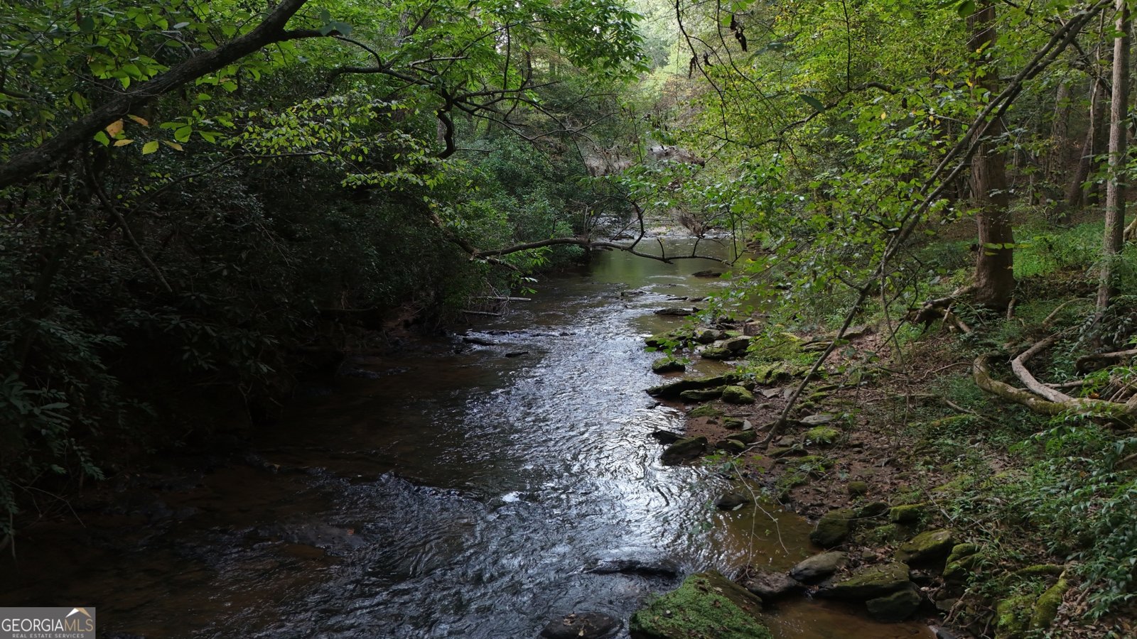 922 Amys Ford Trail Cleveland - 37