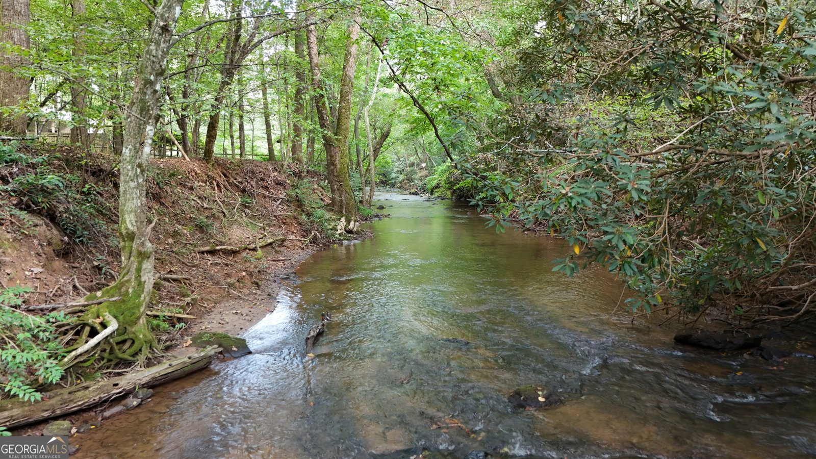 922 Amys Ford Trail Cleveland - 4