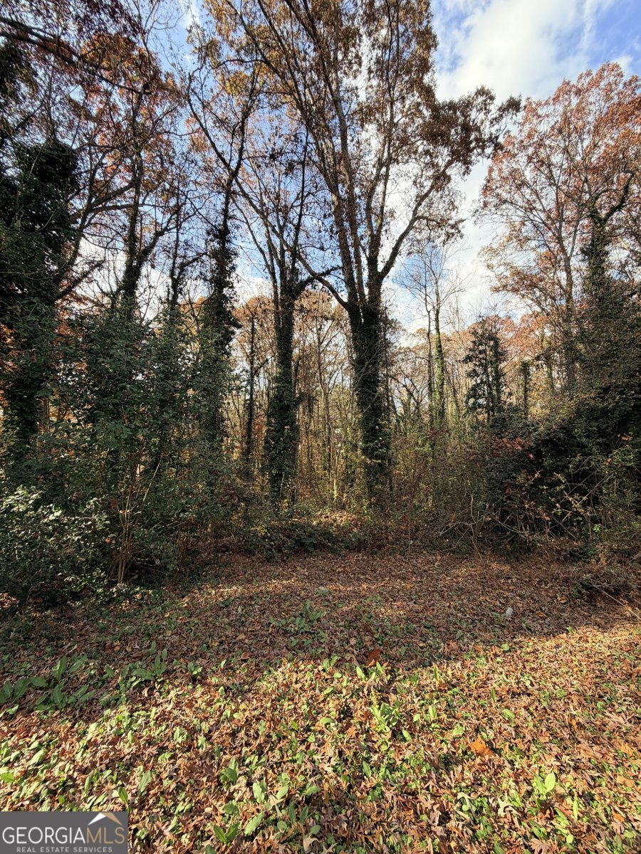 2631 Baker Ridge Drive Atlanta - 1