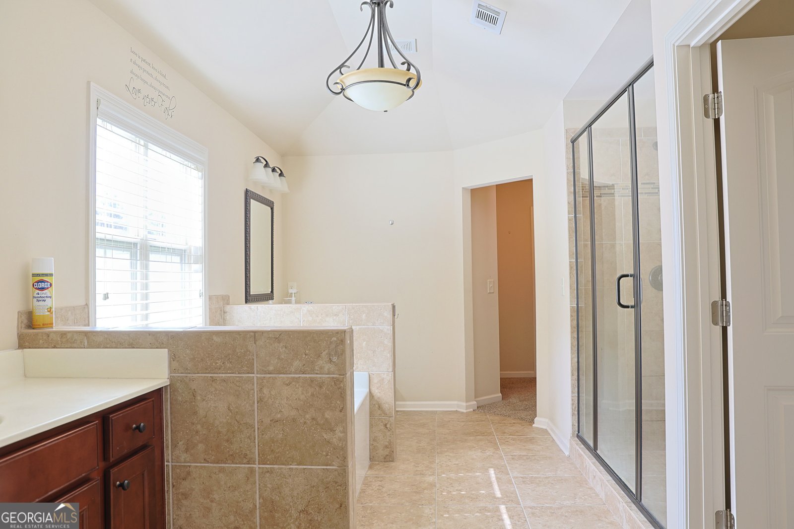 2236 Caledonia Drive Lawrenceville - 17