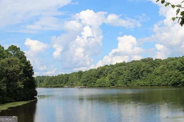 2236 Caledonia Drive Lawrenceville - 83