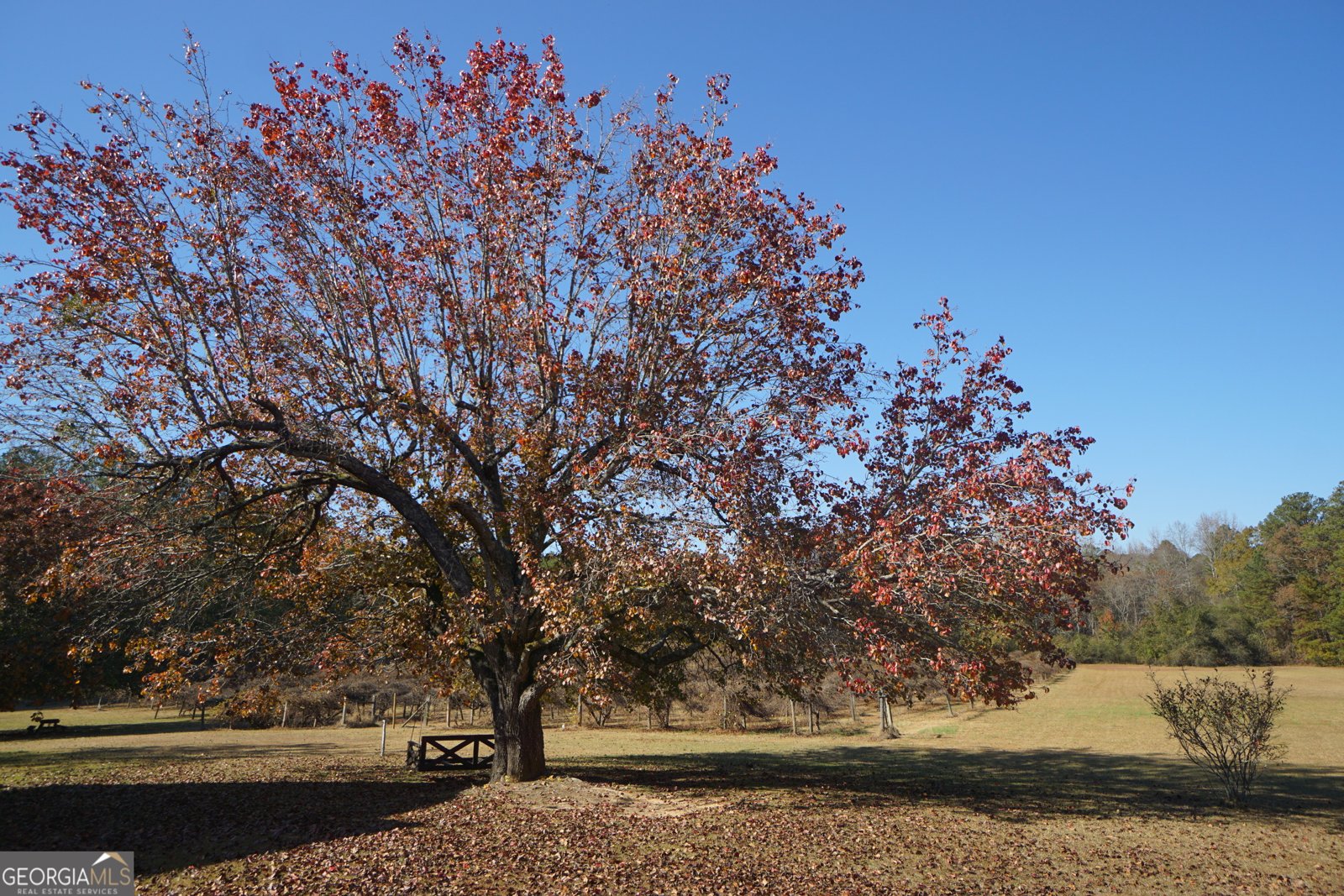 4621 Highway 34 Newnan - 30