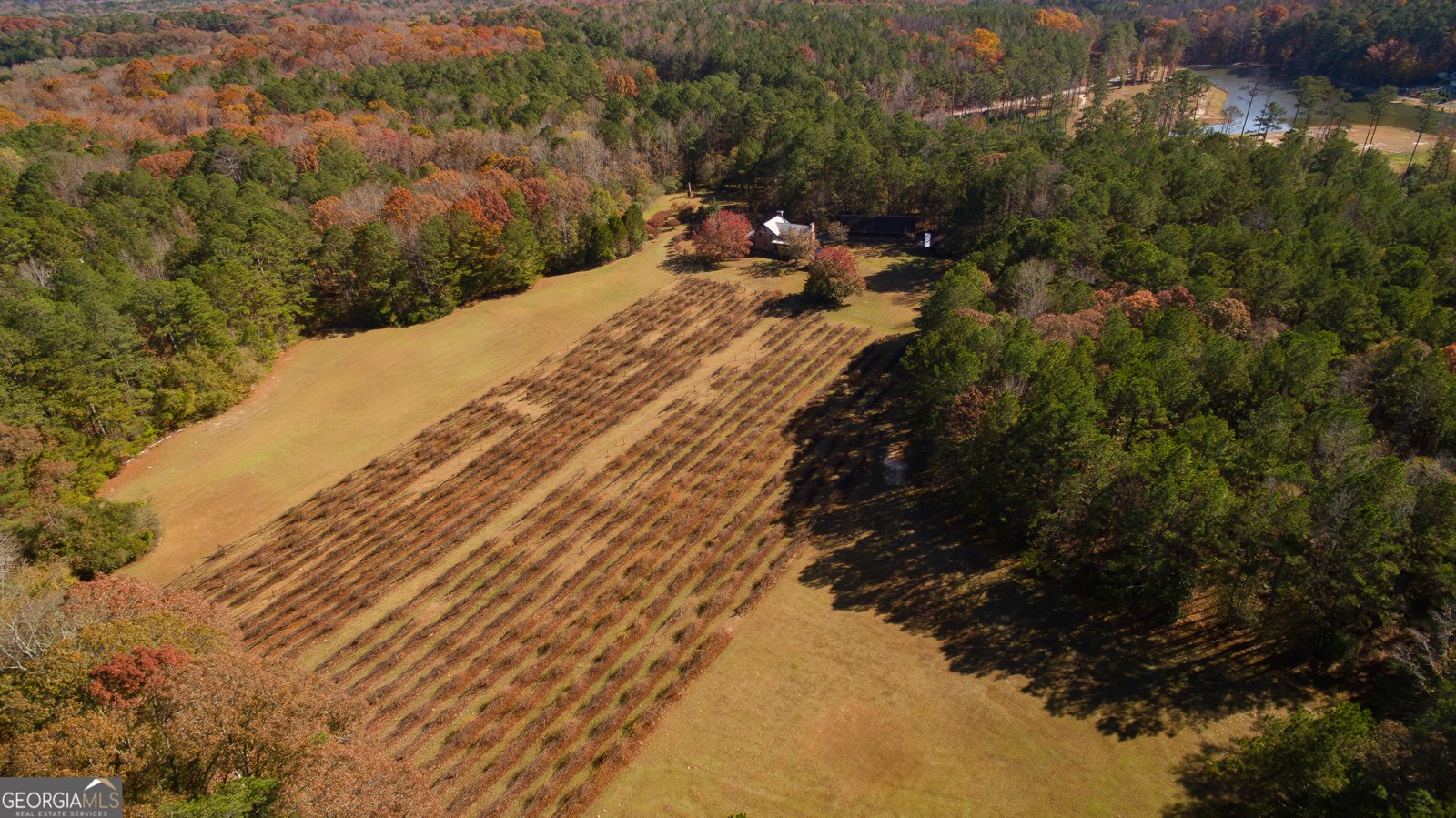 4621 Highway 34 Newnan - 32