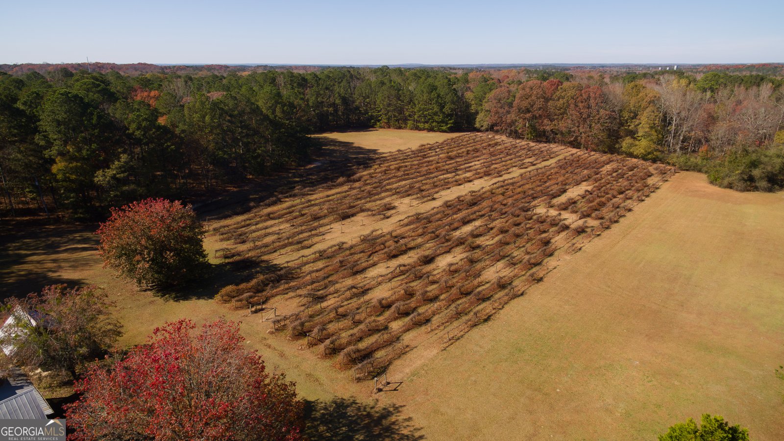 4621 Highway 34 Newnan - 33