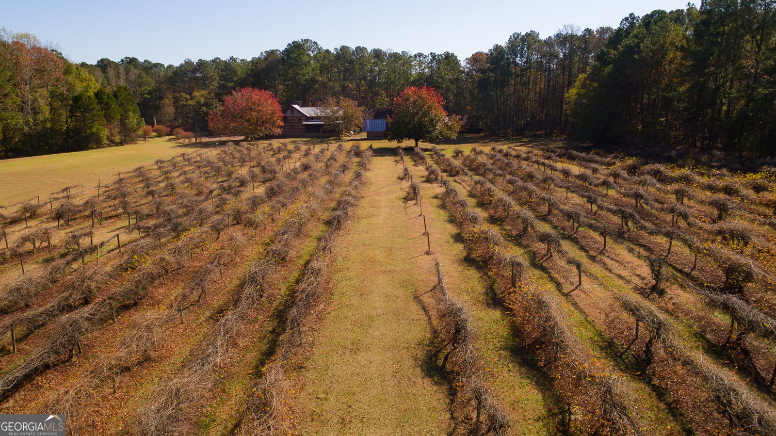 4621 Highway 34 Newnan - 34