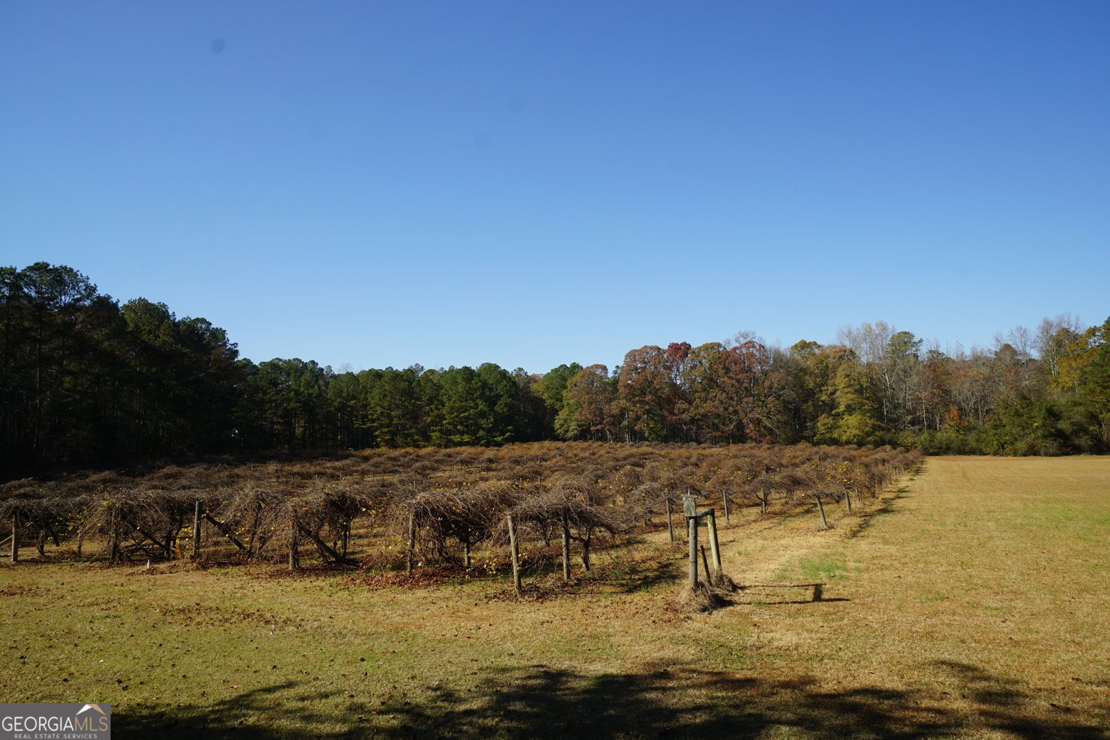 4621 Highway 34 Newnan - 43