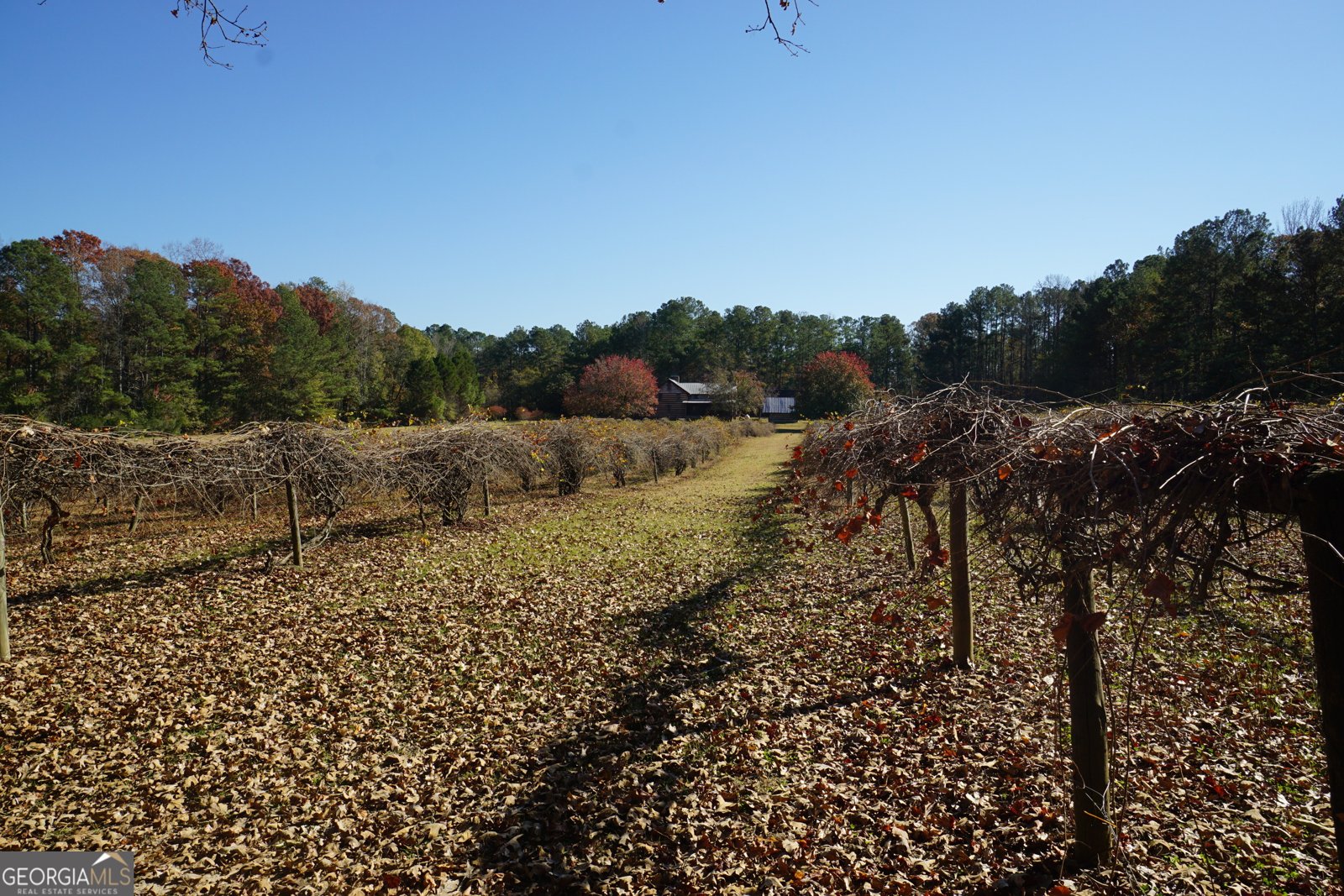 4621 Highway 34 Newnan - 45