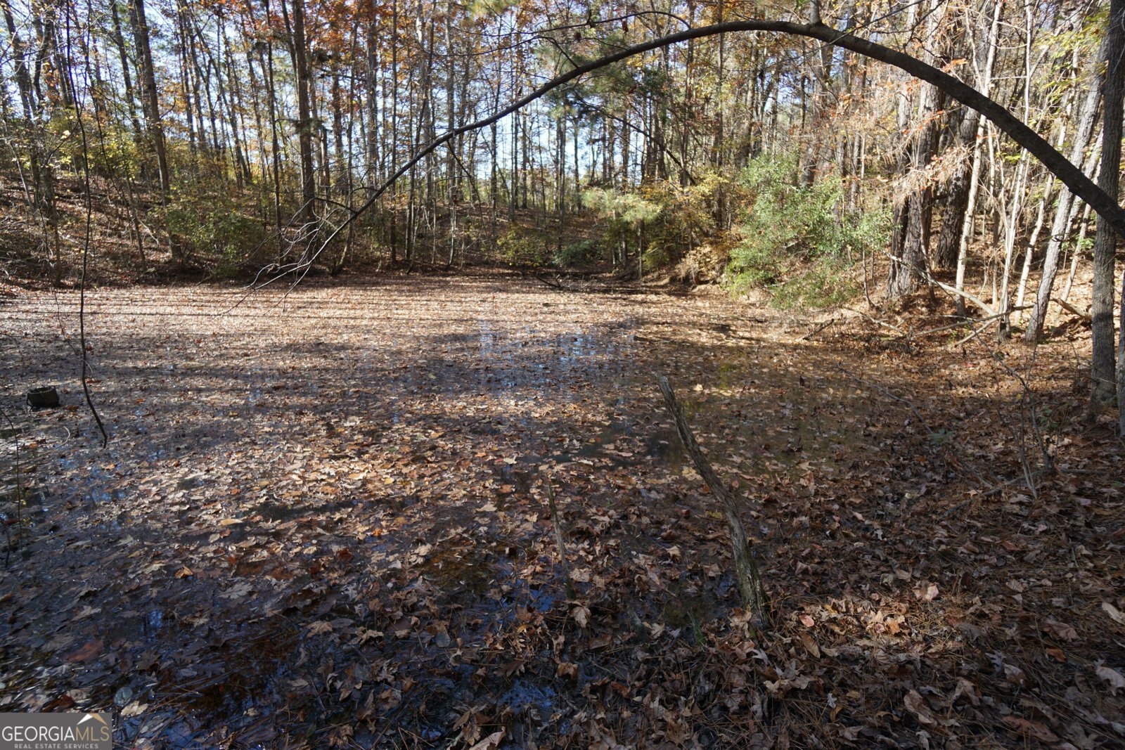 4621 Highway 34 Newnan - 46