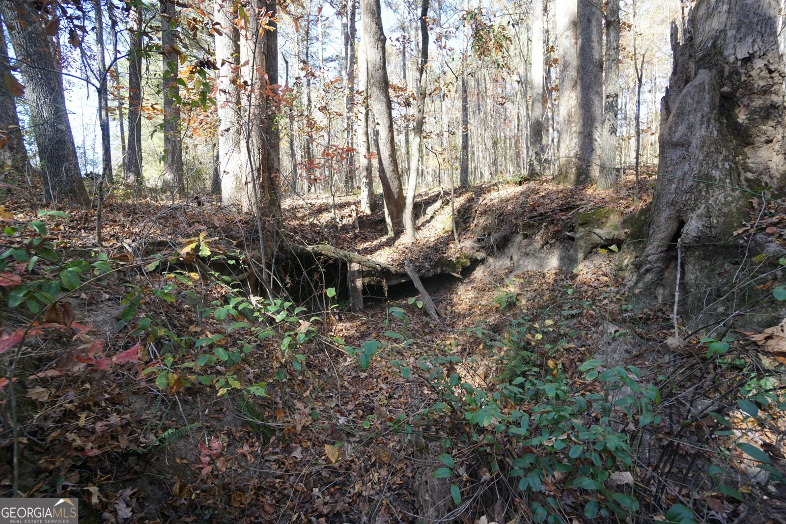 4621 Highway 34 Newnan - 47