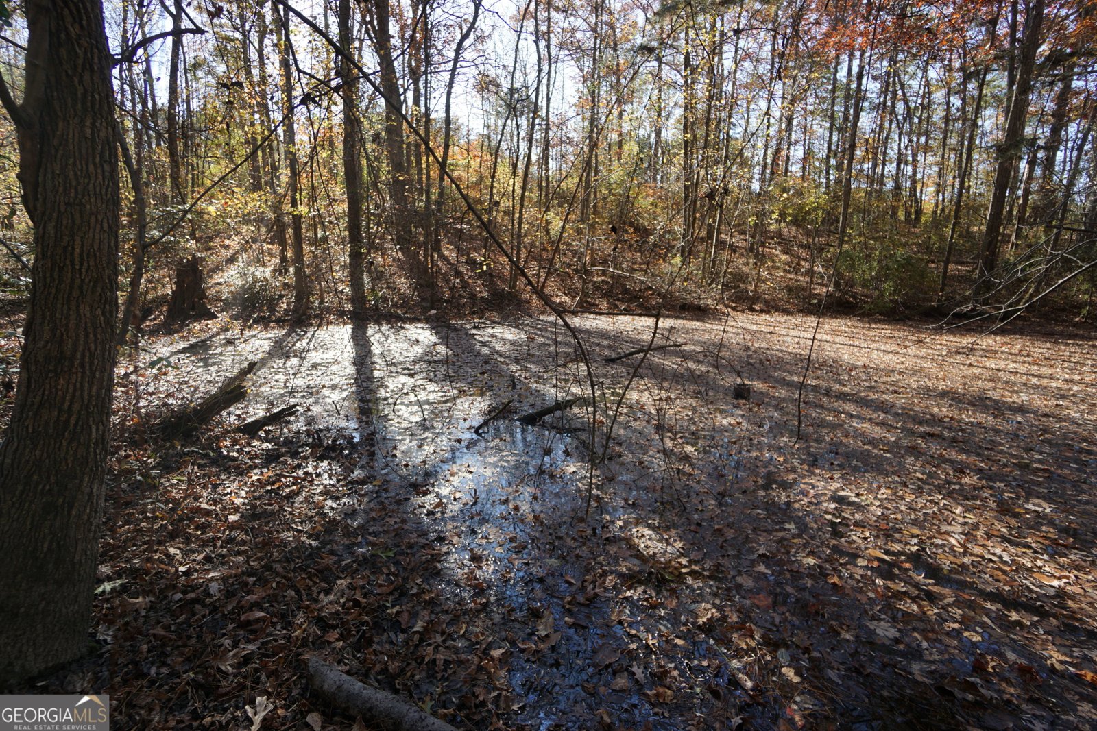 4621 Highway 34 Newnan - 48