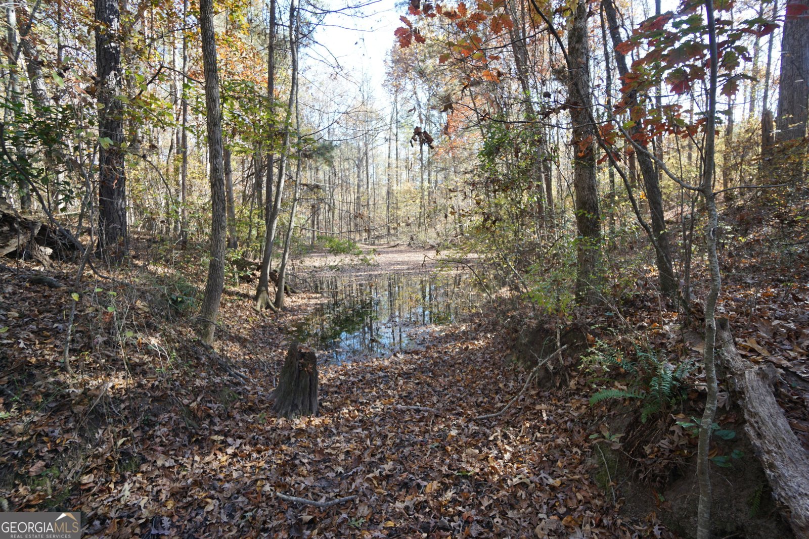 4621 Highway 34 Newnan - 49