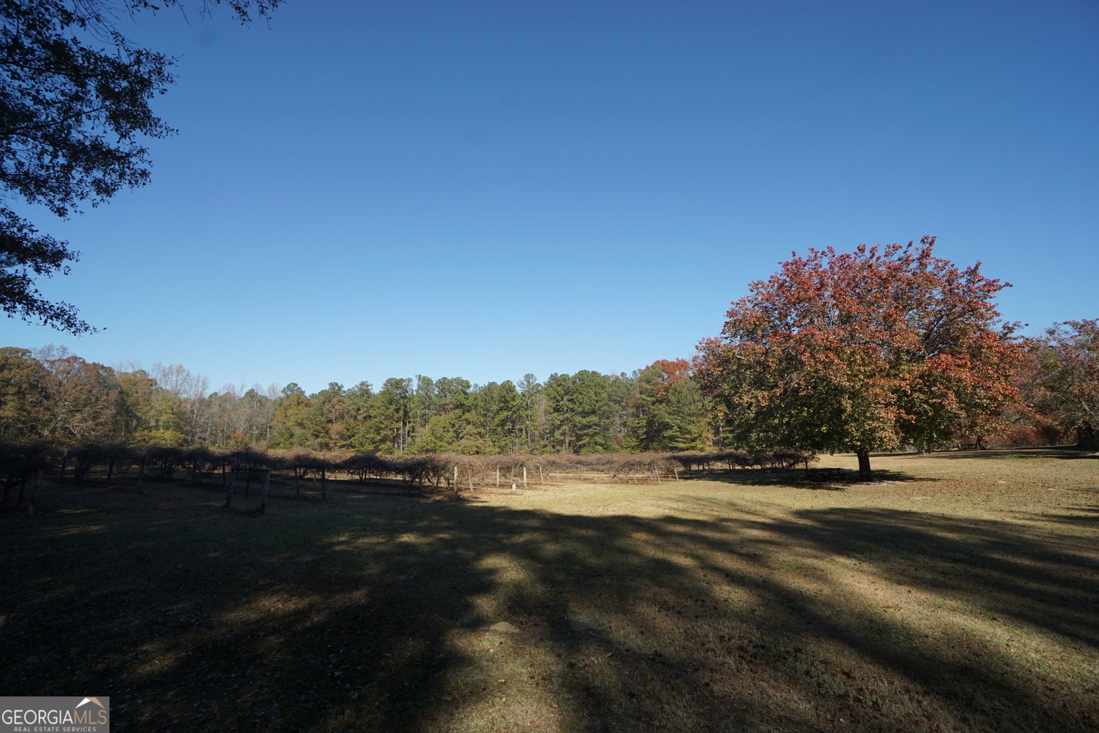 4621 Highway 34 Newnan - 50