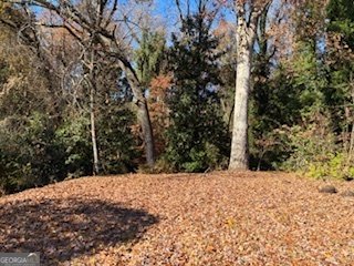 1281 Anchor Terrace Atlanta - 3