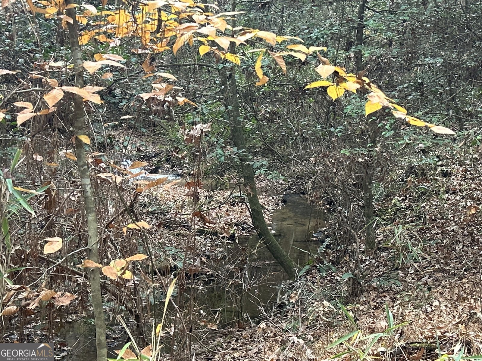 2885 Callie Still Road Lawrenceville - 1