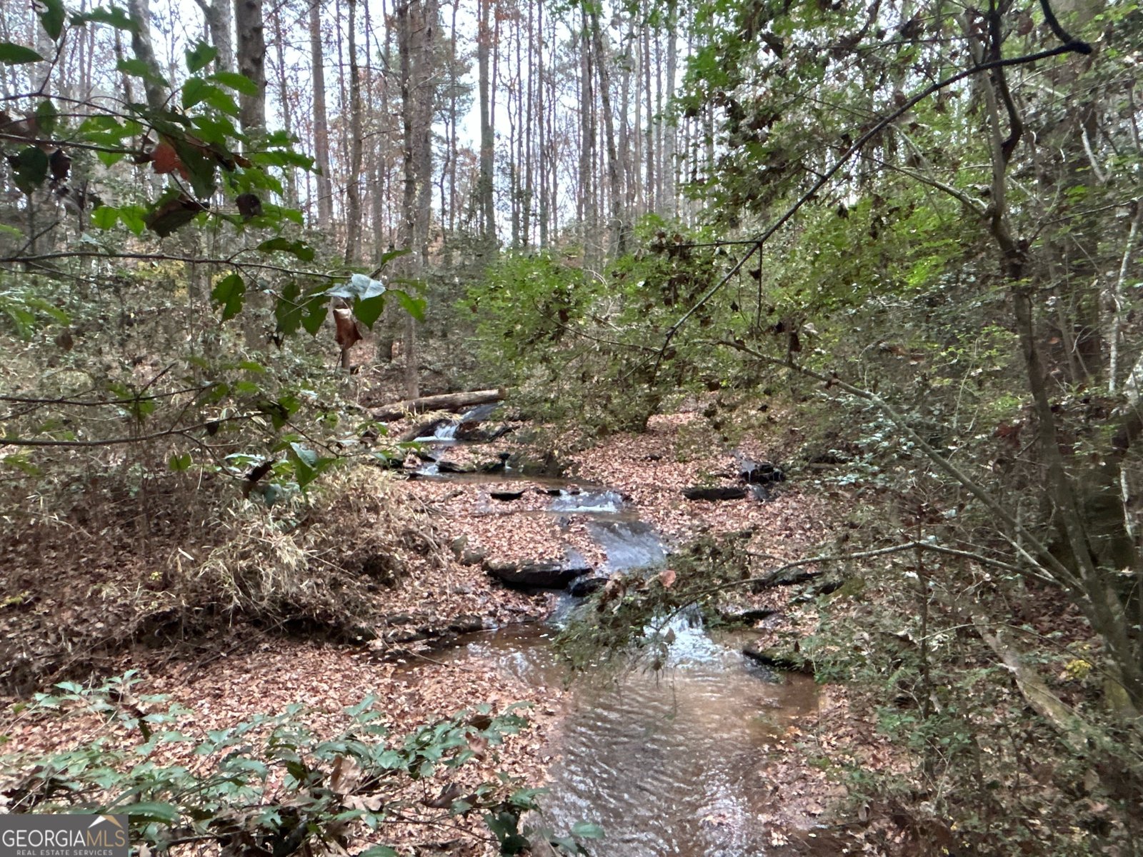 2885 Callie Still Road Lawrenceville - 58