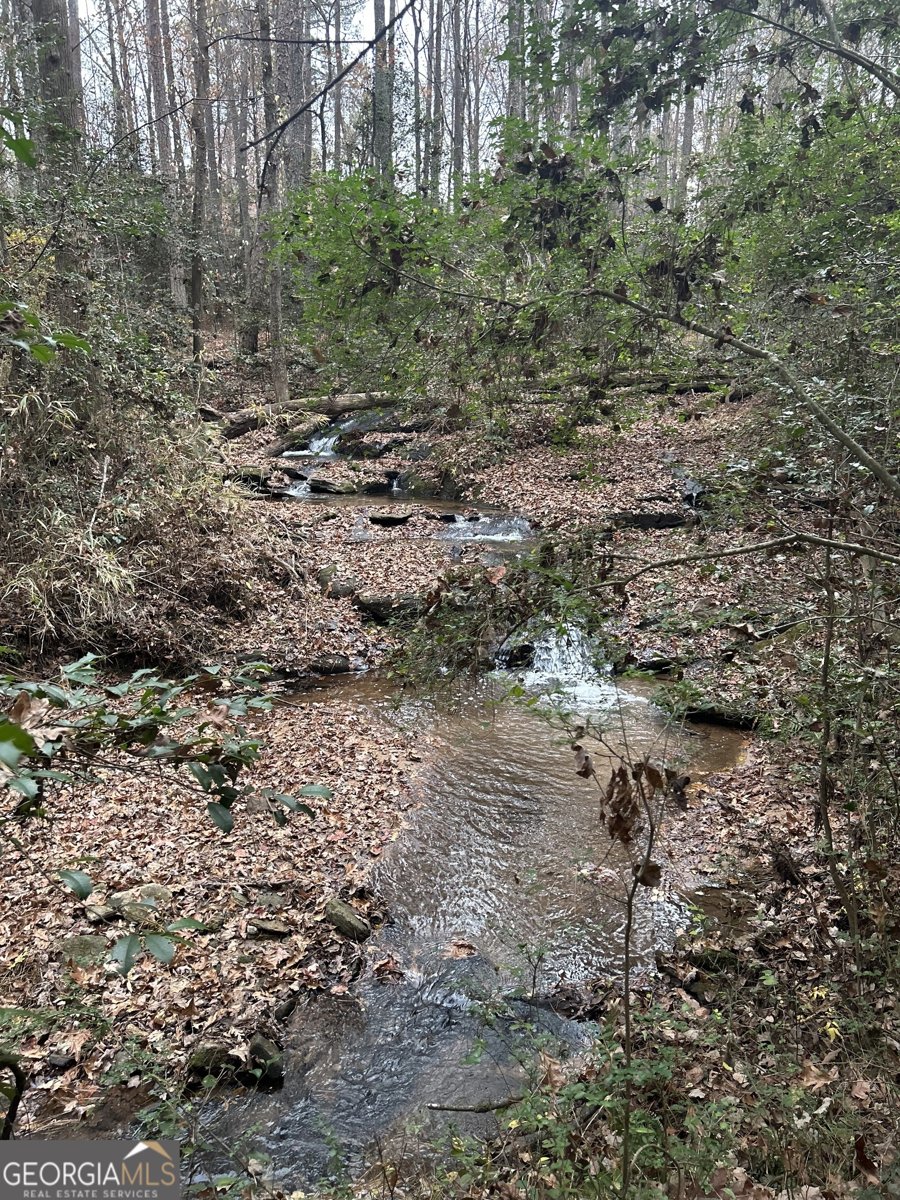 2885 Callie Still Road Lawrenceville - 59