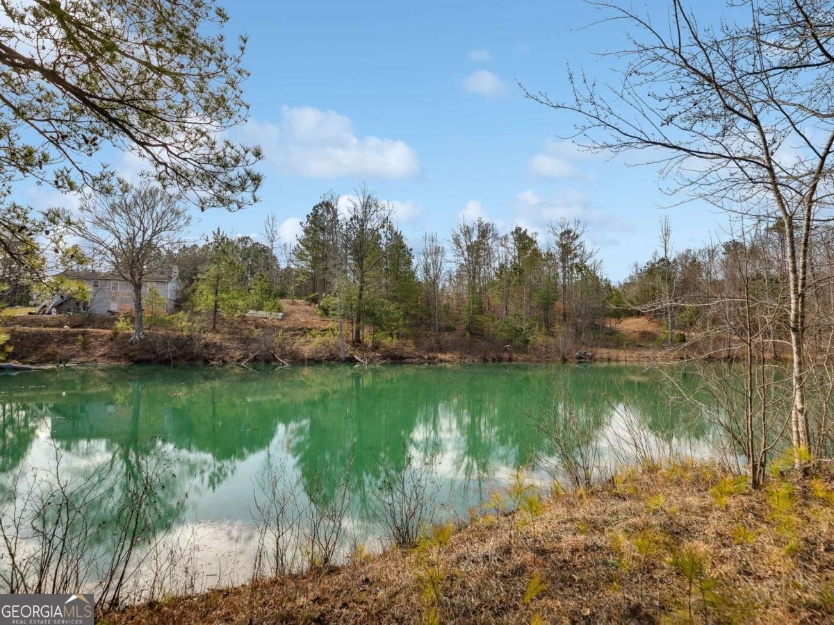 153 Clover Path Dallas - 24