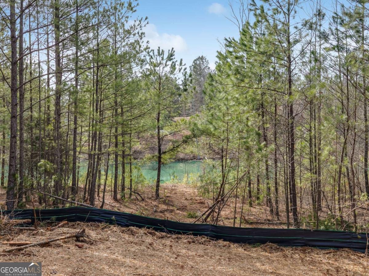 153 Clover Path Dallas - 40